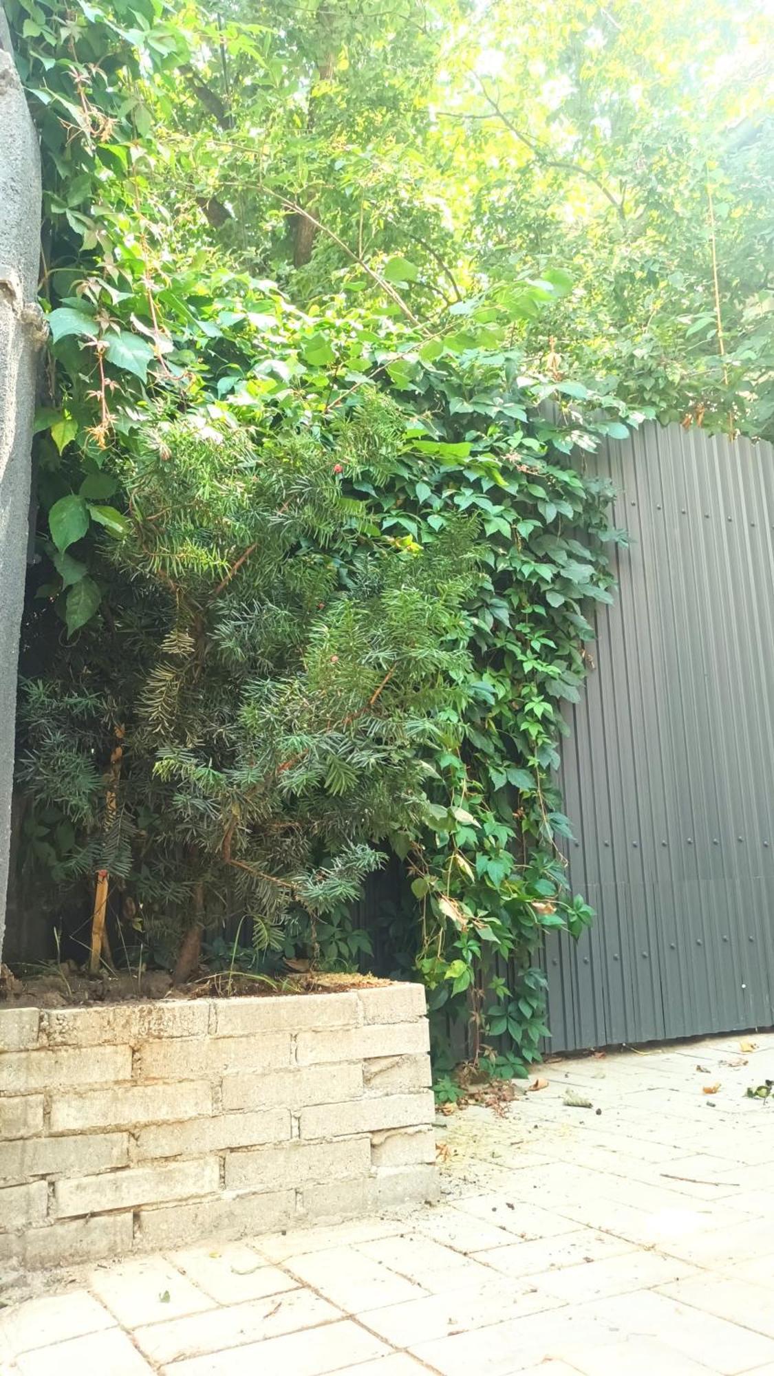 Littlehouse- Entire Property For Maximum 4 People Bucharest Exterior photo
